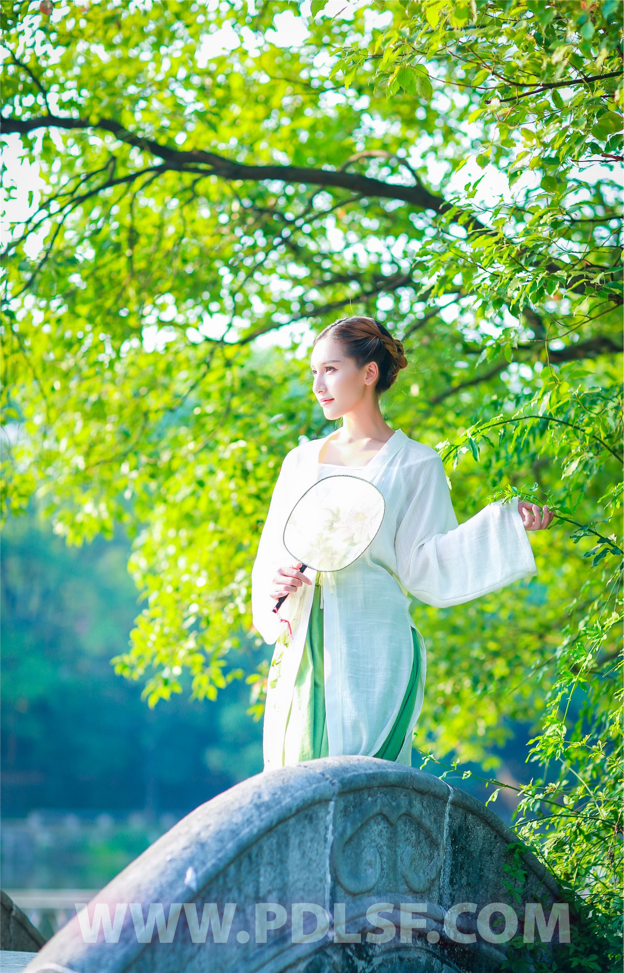 PDL潘多拉 2020.02.22 专辑No.281